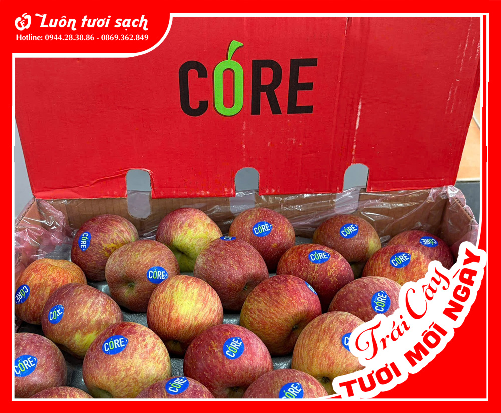 Nguyên thùng Red Fuji Nam Phi sz 100 18kg